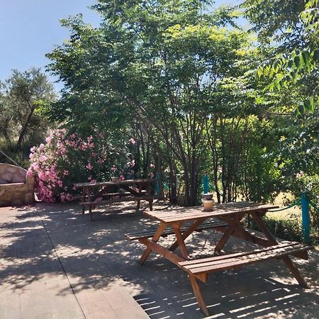 דירות קסטריל Casita Vista Alegre מראה חיצוני תמונה