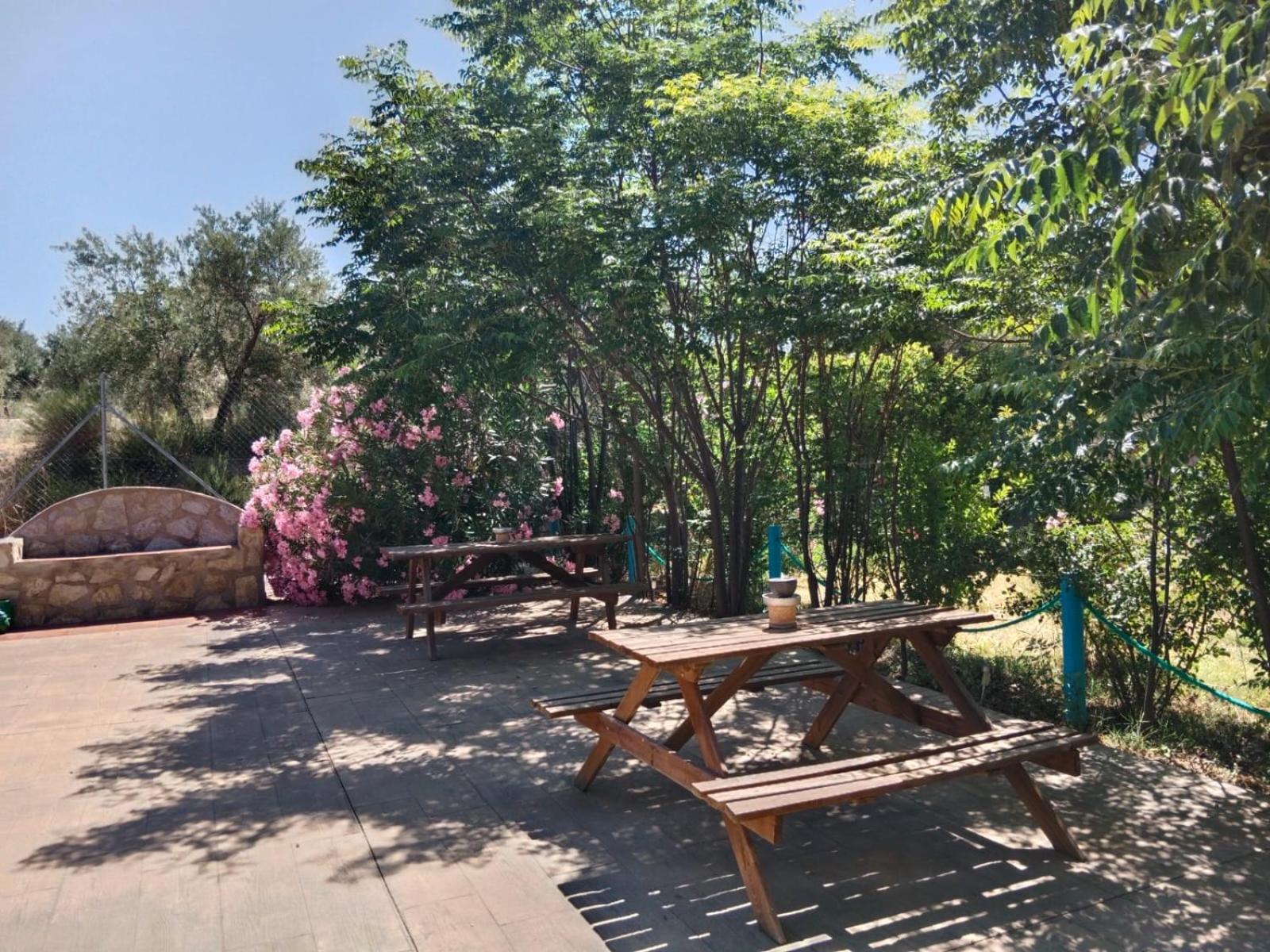 דירות קסטריל Casita Vista Alegre מראה חיצוני תמונה